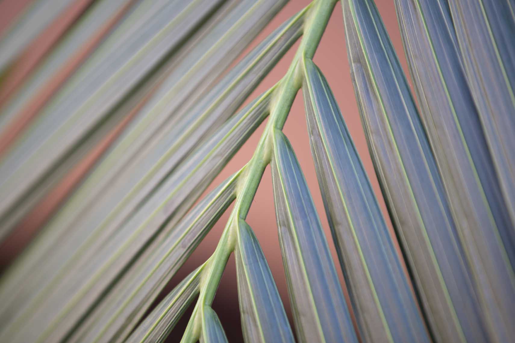 20201203_BOCA_dets-013